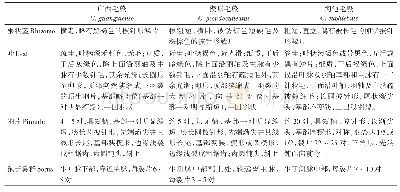 《表1 广西毛蕨与楔形毛蕨、河池毛蕨的形态学比较》