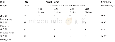 《表2 正常大隐静脉与曲张静脉患者MMP-13表达强度及阳性率的比较Table 2 Comparison of MMP-13 expression intensity and positive rat