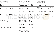 表4 荧光定量引物设计 (以18S为内参) Table 4 Primer design for the RT-PCR amplification (18S as the internal reference)