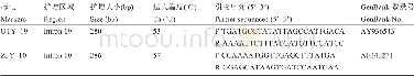 表2 柴达木黄牛Y染色体UTY-19和ZFY-10标记PCR信息Table 2 PCR information of UTY-19 and ZFY-10 markers in Y chromosome in Qaidam cattle