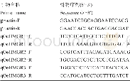 表4 Oe HMGR基因荧光定量分析引物Table 4 Primers for Oe HMGR real-time PCR analysis