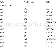 表3 SSR-PCR筛选引物基本情况Table 3 The basic situation of selected SSR-PCR primers
