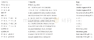 《表2 引物序列：马氏珠母贝(Pinctada fucata martensii)PmHEXL基因的分子特征与表达分析》