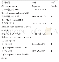 《表1 OsBBX6启动子胁迫响应元件分析》