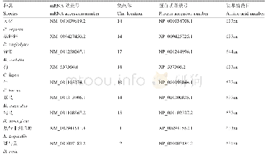 《表1 不同物种PRMT5基因的基本信息》