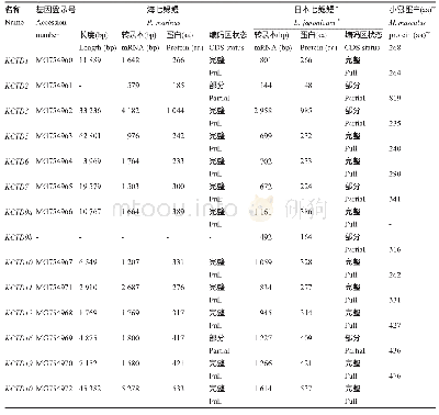 《表1 七鳃鳗KCTD基因的基本信息》