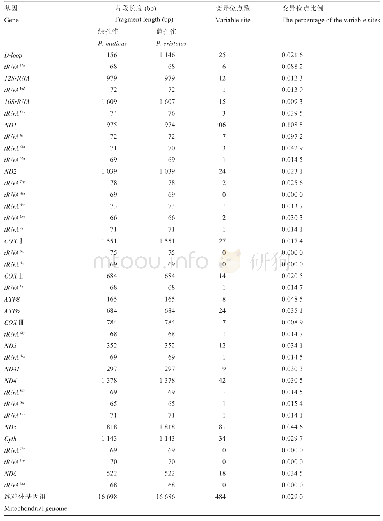 表2 蓝孔雀和绿孔雀线粒体基因组比较