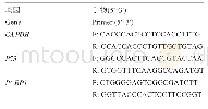 表2 P53和PARP1基因的m RNA表达水平的RT-PCR引物