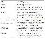 表1 引物序列：金黄色葡萄球菌通过NF-κB信号对破骨细胞分化的影响及作用