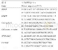 《表1 引物序列：金黄色葡萄球菌通过NF-κB信号对破骨细胞分化的影响及作用》