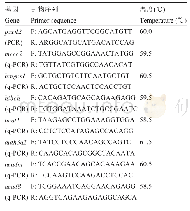 表4 piwil2 RT-PCR和其他基因q-PCR的引物序列