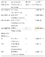 表2 GO功能分类和KEGG途径富集DAPs数