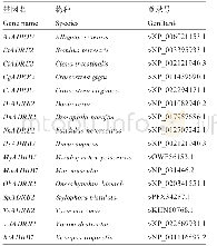 表1 用于构建NJ进化树的氨基酸序列信息