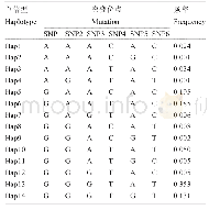《表3 麦洼牦牛CYP4A11基因SNPs单倍型分型》