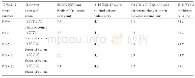 表1 五株内生真菌对小麦全蚀病菌的拮抗作用