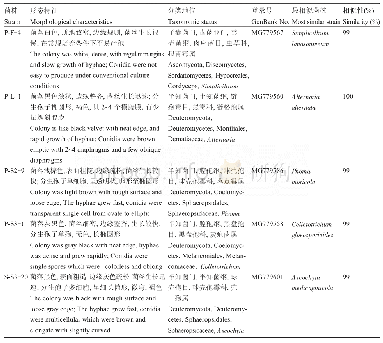 表2 拮抗菌株的鉴定：小麦全蚀病拮抗真菌的筛选与鉴定