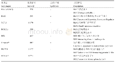 表2 表达上调或下调的Bcl-2家族蛋白相关基因