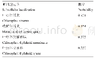 表3 St NDPKs蛋白亚细胞定位预测