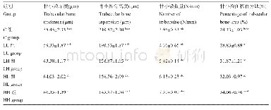 表3 大鼠胫骨近心干骺端组织计量学