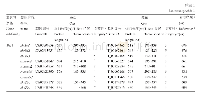 表1 金鱼和鲤鱼T-box基因家族信息