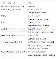 表1 SLPI100的启动子元件分析