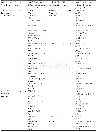 表2 Hep G2细胞中过表达LXRα/RXRA引起的差异表达非常显著(p<0.01)基因的GO生物过程分析