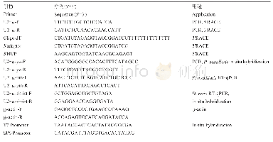 表1 实验中所用到的引物及序列