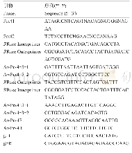 表1 本研究所使用的引物