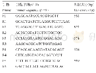 《表2 中国荷斯坦牛TLR2基因CDS区引物序列》