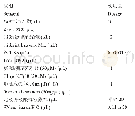 《表3 赤红球菌c DNA的合成体系》