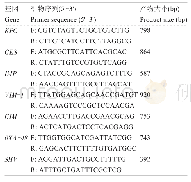 表4 PCR扩增相关β-内酰胺酶基因引物