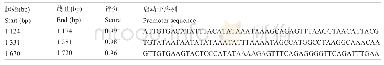 表1 绵羊Gn RHR基因启动子预测