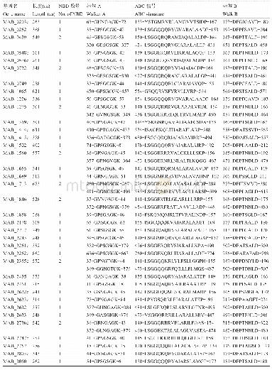 表3 脓肿分枝杆菌含NBDs结构域ABC转运蛋白Walker A,ABC signature和Walk B motifs序列