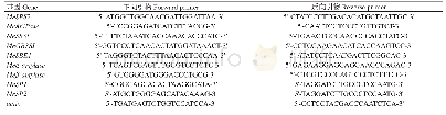 《表1 木薯淀粉代谢相关基因的q RT-PCR引物序列》