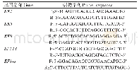 《表1 检测基因和内参基因的q PCR引物序列》