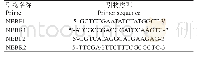 《表1 猪毕氏微孢子虫巢式PCR扩增引物序列》