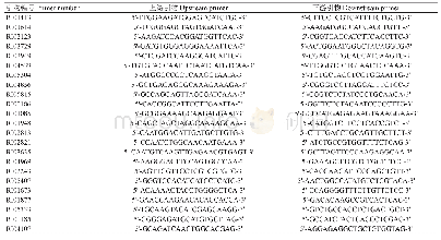 《表1 ILP分子标记的引物序列》
