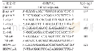 表1 翘嘴鳜炎症反应相关基因与内参基因的实时荧光定量PCR引物序列