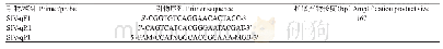 《表1 荧光定量PCR扩增引物及TaqMan-MGB探针信息》