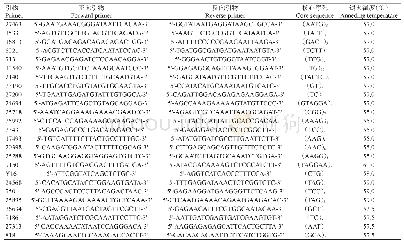 表2 罗氏沼虾25个SSR位点的扩增引物序列及其特征
