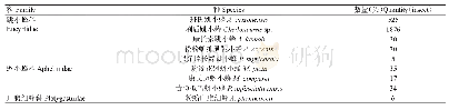 表1 广西扶桑绵粉蚧寄生蜂种类和数量