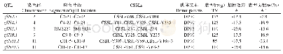 表2 DP30-CSSLs群体和DP15-CSSLs群体的落粒性QTL座落片段及表型特性