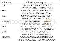 表1 实时荧光定量PCR扩增引物名称及其序列
