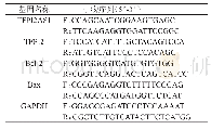 表1 引物序列：长链非编码RNA TFPI2AS1通过AKT通路调控胃癌细胞的增殖和凋亡