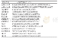表1 实时荧光定量PCR所需引物序列