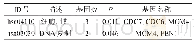 表3 关键基因的KEGG通路分析