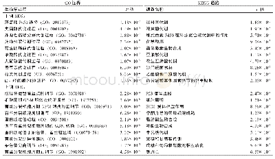 表1 HBV相关HCC差异基因的GO功能分析（生物学过程）和KEGG通路分析