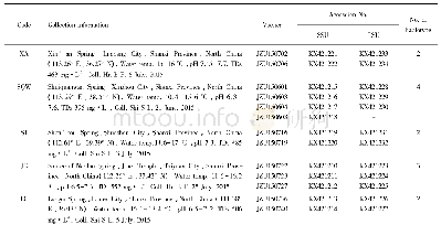 《Table 1 Collection information and Gen Bank accession numbers of SSU and LSU sequences for Cladopho