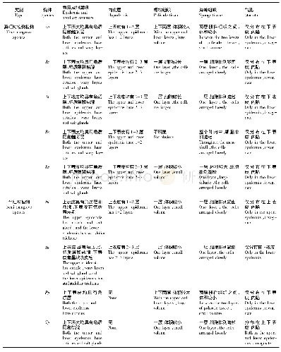 《表2 9种红树植物叶片解剖特征》