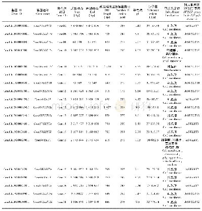 表3 印度南瓜中21个SWEET基因的理化特性